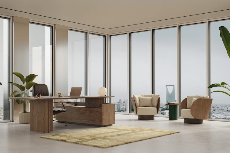 büro-sessel-fenster-schreibtisch-chefbüro-teppich-pflanze